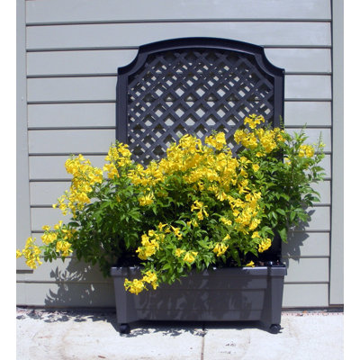Exaco Calypso Square Planter with Trellis