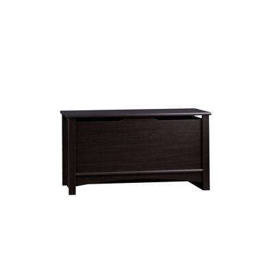 Child Craft Shoal Creek Ready-to-Assemble Storage Chest