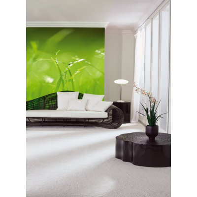 Komar Fototapete 'Green' - 368 x 254 cm