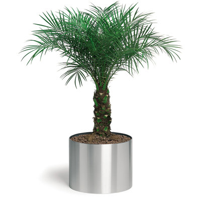 Blomus Greens Round Planters