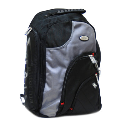 CalPak Giga I Multi-Pocket Computer Backpack