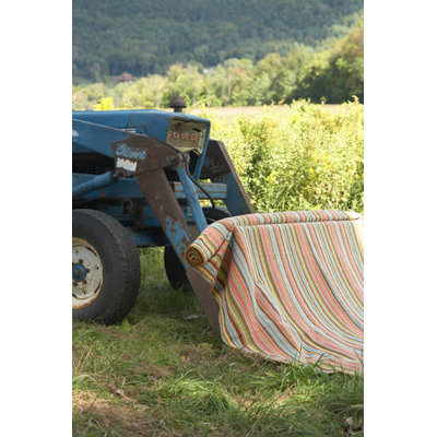 Dash and Albert Rugs Woven Zanzibar Ticking Rug