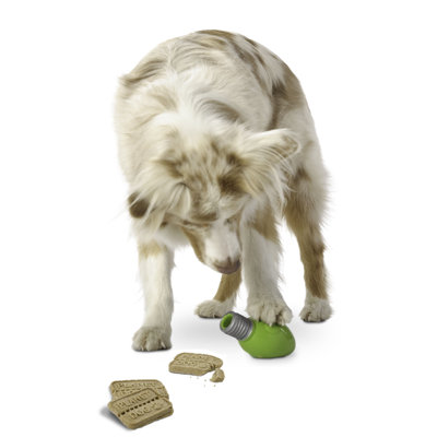 Planet Dog Orbee Tuff Bulb Dog Toy with Treat Spot in Green