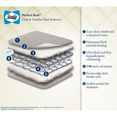 Sealy Crib Mattresses Perfect Rest Crib and Toddler Bed Mattress