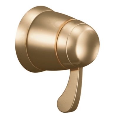 Moen Volume Control