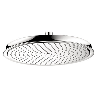 Hansgrohe Raindance C 300 Shower Head
