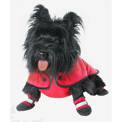 Muttluks Belted Dog Coat in Red