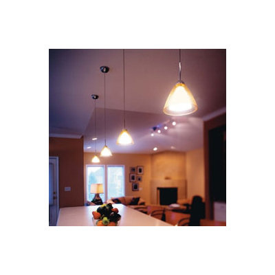 LBL Lighting Tear-SII Coax 1 Light Mini Pendant