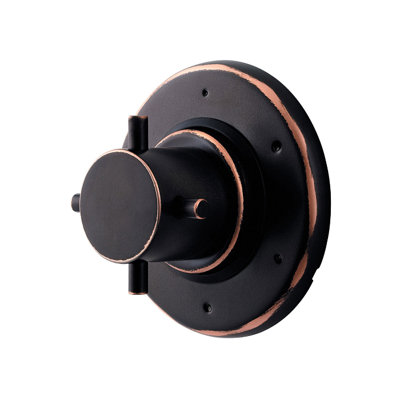 Price Pfister Single Handle Shower Faucet Trim 