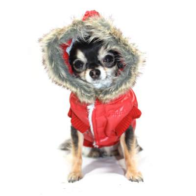 Hip Doggie Split Dog Hood Jacket in Red