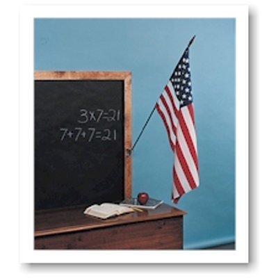 Annin & Company United States Traditional Classroom Flag