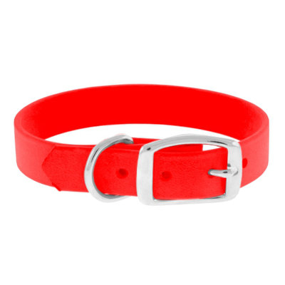 The Perfect Leash The Perfect 1" Dog Collar