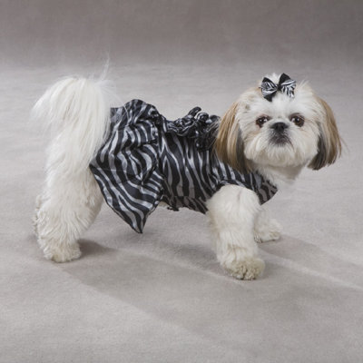 Platinum Print Zebra Dog Dress in Black