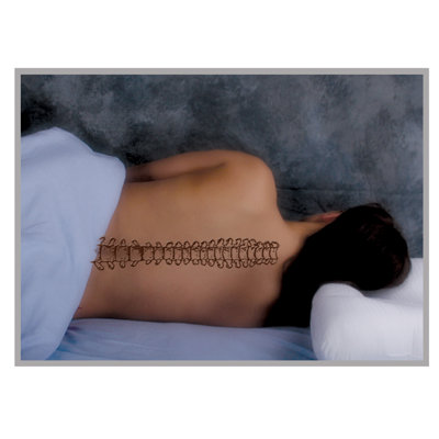 Core Products Tri-Core Cervical Orthopedic Fiber Pillow