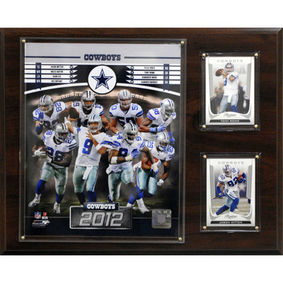 C & I Collectibles NFL 2012 Team Plaque
