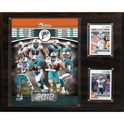 C & I Collectibles NFL 2012 Team Plaque