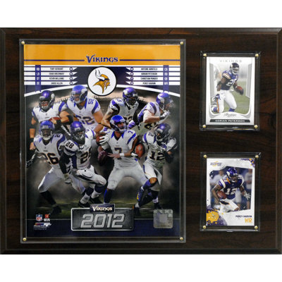 C & I Collectibles NFL 2012 Team Plaque