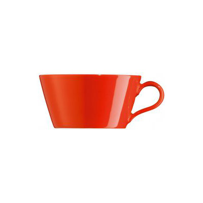Arzberg Tric Tea Cup