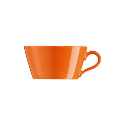 Arzberg Tric Tea Cup