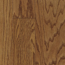 VictorBODY (MEDICAL) image