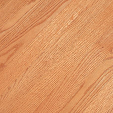 Lewis Lifetime Tools30  Long Roto Digger image