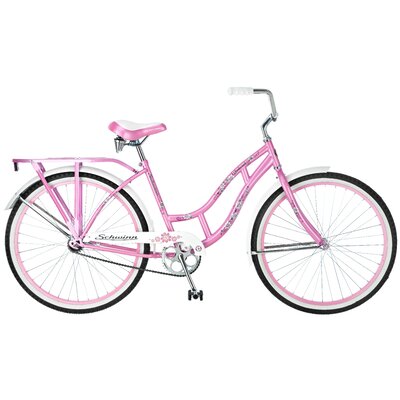 Schwinn | Wayfair