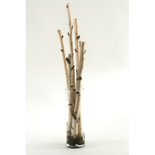 Silks Birch Branches in Tall Glass Vase